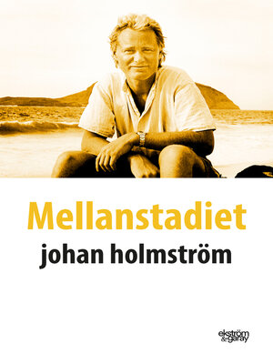 cover image of Mellanstadiet
